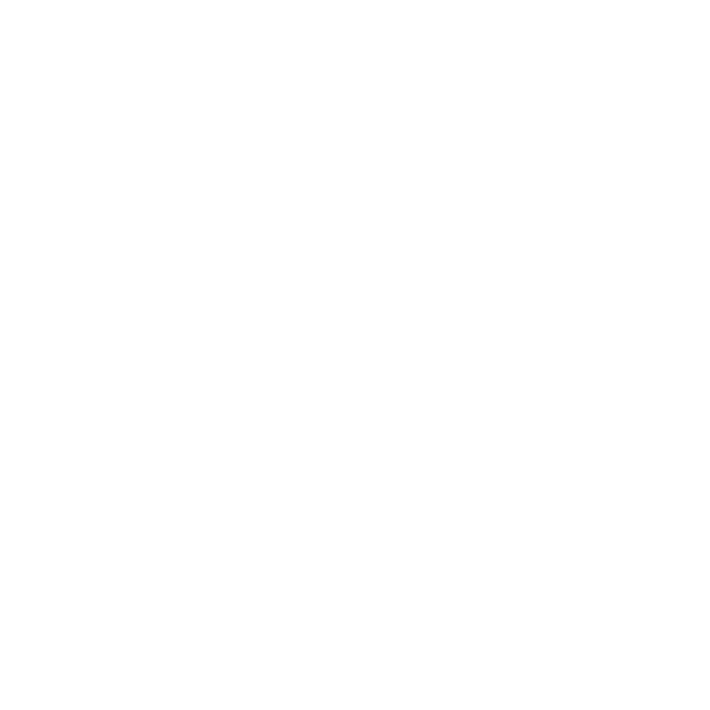 NumPy Logo